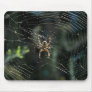 Western Orb Weaver Mousepad