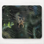 Western Orb Weaver Mousepad