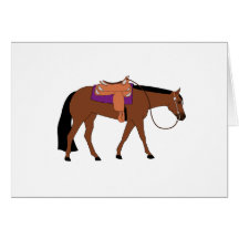Western Pleasure Horse Cards