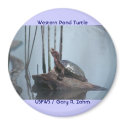 Western Pond Turtle magnets