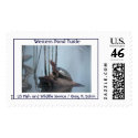 Western Pond Turtle postage