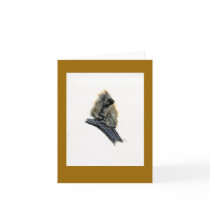 Western Porcupine Note/Greeting Card