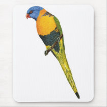 Western Rainbow Lorikeet mousepads