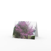 Western Redbud Tree note card by swedewon Western Redbud Tree note card