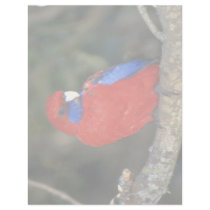 Western Rozella, Australia Custom Letterhead