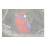 Western Rozella, Australia Stationery Paper