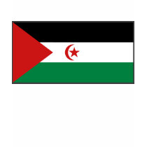 Western Sahara Flag and Map T-Shirt