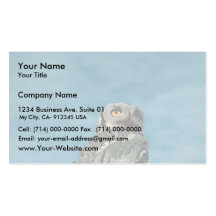 Western screech owl business card template