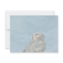 Western screech owl custom invitations