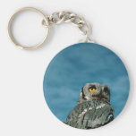 Western screech owl keychain