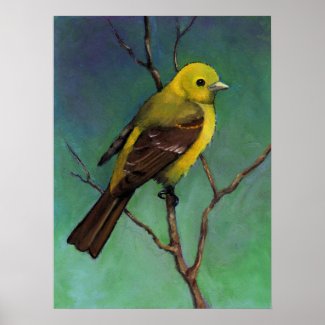 Western Tanager, Wildlife Art Poster
