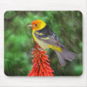 Western Tanger mousepads by digitalmidge Western Tanger mousepads
