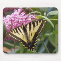 Western Tiger Swallowtail butterfly on pink lilacs mousepads