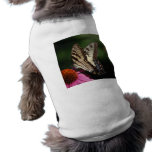 Western Tiger Swallowtail Dog Shirt