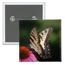 Western Tiger Swallowtail Square Pin