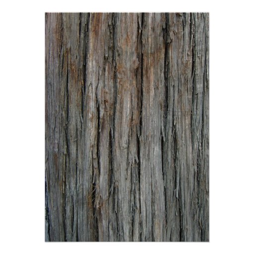 Western Tree Bark Wedding Invitations