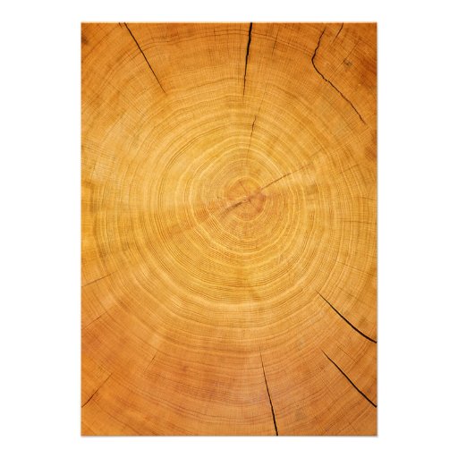 Western Tree Ring Bridal Shower Invitations