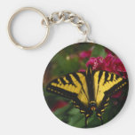 Western Yellow Swallowtail Key Chains