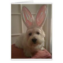 Westhighland Bunny Cards