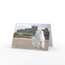 Westie at Bamburgh Castle Greeting Card