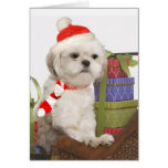 Westie Christmas Cards