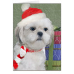 Westie  Christmas Gifts cards