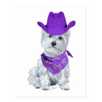 Westie Cowboy in Purple Post Card