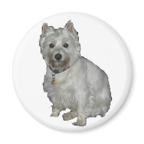 Westie Desi and Lucy magnets by amwesley Westie Desi and Lucy magnets