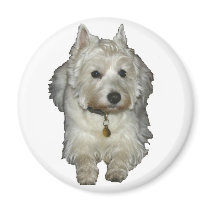 Westie Desi and Lucy magnets by amwesley Westie Desi and Lucy magnets