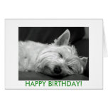 Westie Dog Birthday Card