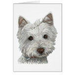 Westie dog card