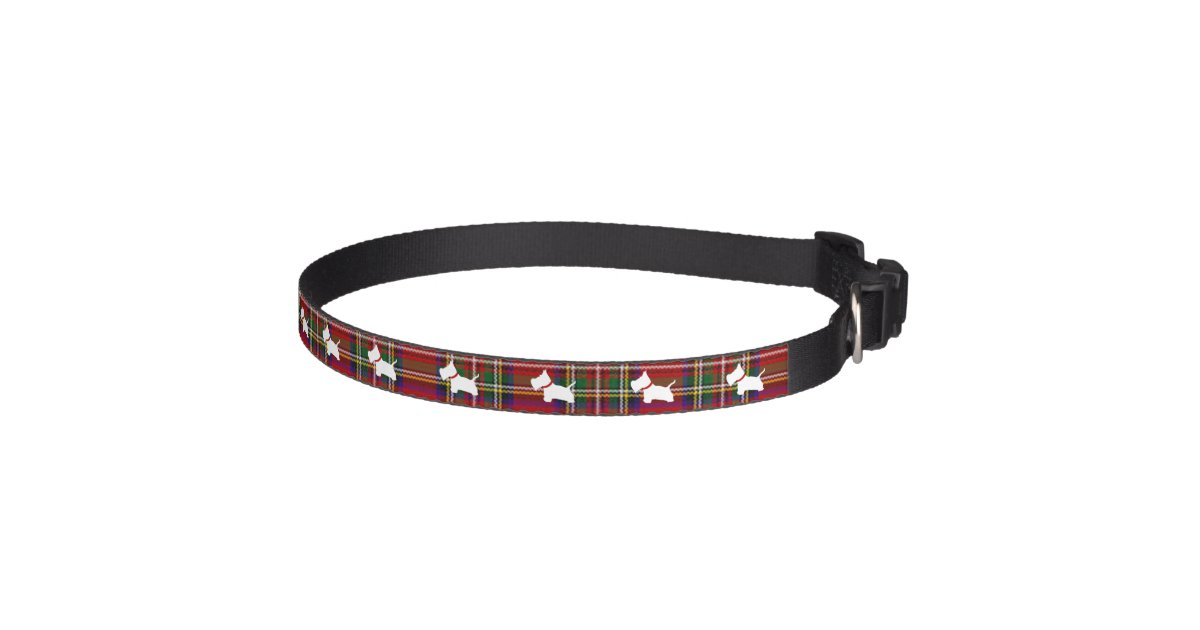 Westie Dog Collars Westie Dog Collars