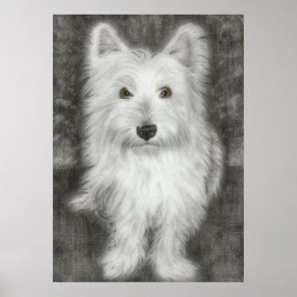 Westie Dog in Graphite Print print