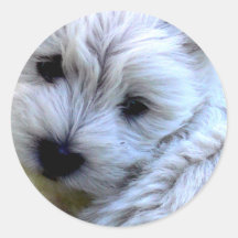 Westie Etiqueta Redonda