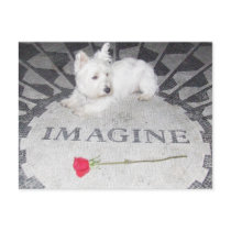 Westie Imagines World Peace postcards