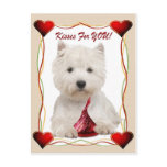 Westie Kisses For You postcards
