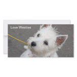 westie photo card