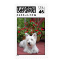 Westie postage by prizestealer Westie postage