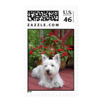 Westie postage by prizestealer Westie postage