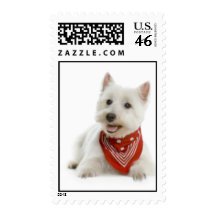 Westie Postage Stamps