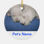 Westie Pups Sleeping Ornament