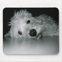 Westie Relaxing Mouse Pads