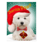 Westie Santa Paws Postcards