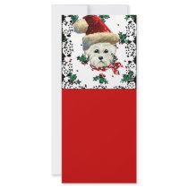 Westie Santa rack cards