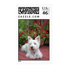 Westie Stamp