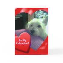 Westie Valentine's Day Card