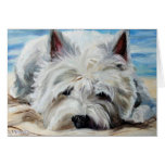 Westie West Highland Terrier Dog - Beach Bum Greeting Cards
