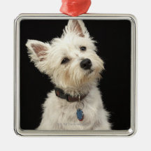 Westie (West Highland terrier) with collar Christmas Ornament