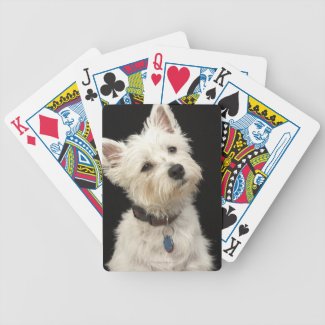 Westie (West Highland terrier) with collar Card Deck