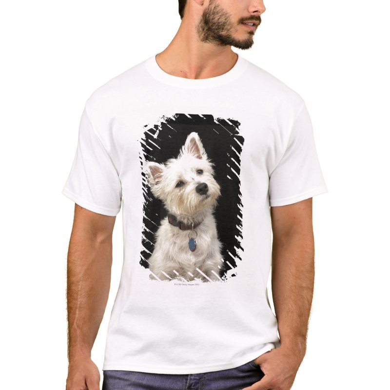 Westie (West Highland terrier) with collar